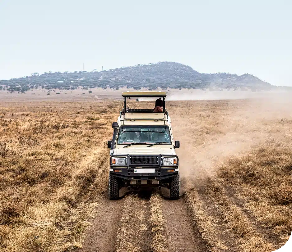 Tourvest is Southern Africa’s leading integrated tourism group